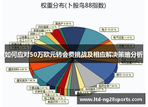 如何应对50万欧元转会费挑战及相应解决策略分析
