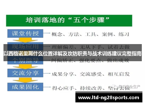 以西格诺里踢什么位置详解及攻防职责与战术训练建议完整指南