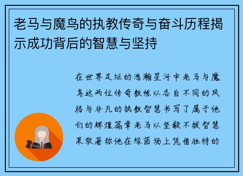 老马与魔鸟的执教传奇与奋斗历程揭示成功背后的智慧与坚持